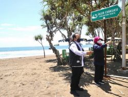 BMKG Ingatkan Potensi Tsunami Besar di Selatan Jawa, Bisa Sampai 29 Meter dan Dampaknya 250 Km dari Pantai