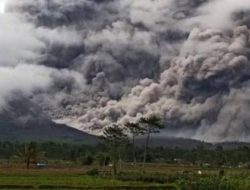 Gunung Semeru Erupsi Lagi, Awan Panas Mengarah ke Tenggara