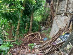 Delapan Rumah di Penggaron Terancam Erosi Sungai