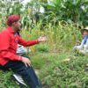 DBHCHT Sumenep Wujudkan Perlindungan Kerja Bagi Petani Tembakau