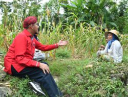 DBHCHT Sumenep Wujudkan Perlindungan Kerja Bagi Petani Tembakau