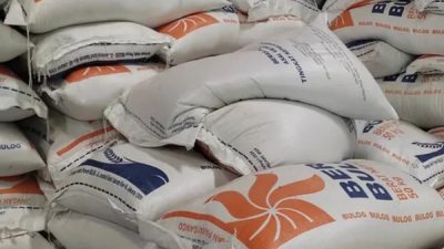 300 Ribu Ton Beras Impor Berkutu, Bulog Harus Tanggung Jawab
