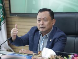 Rombongan Komnas HAM Ditembaki di Papua, Aparat Harus Ambil Tindakan Tegas