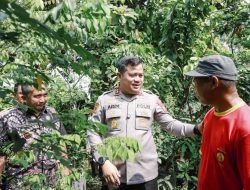 Dukung Ketahanan Pangan, Kapolres Jombang Tinjau Program P2B
