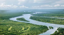 Sungai Terpanjang di Indonesia yang Bikin Melongo! Bukan Cuma Panjang, Tapi Penuh Misteri!