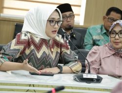 KKP dan Komdigi Didesak Investigasi Kasus Penjualan 4 Pulau di Situs Daring