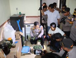 Gerebek Botani Ganja, Kapolres Jombang : Komitmen Polres Jombang Berantas Narkoba