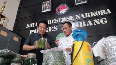 Kasat Narkoba Jombang : Pemilik Ladang Ganja Rumahan juga buat Frementasi Ganja dan Alkohol