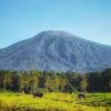Gunung Slamet Diusulkan Jadi Taman Nasional