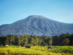 Gunung Slamet Diusulkan Jadi Taman Nasional