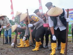 Sinergi Forkopimda Jombang Gelar Penanaman Jagung Serentak Dukung Swasembada Pangan Nasional