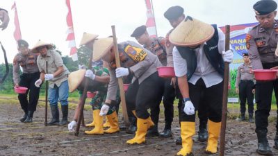 Sinergi Forkopimda Jombang Gelar Penanaman Jagung Serentak Dukung Swasembada Pangan Nasional