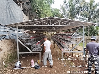 Salah satu lokais pembangunan kandang Ayam Petelur