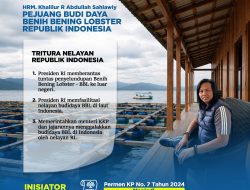 Nilai Lobster Dinikmati Negara Lain, Gus Lilur Minta Prabowo Tutup Jalur Penyelundupan BBL