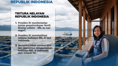Nilai Lobster Dinikmati Negara Lain, Gus Lilur Minta Prabowo Tutup Jalur Penyelundupan BBL