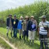 PT KUR Mulai Distribusi Benih Tebu untuk Program Swasembada Gula